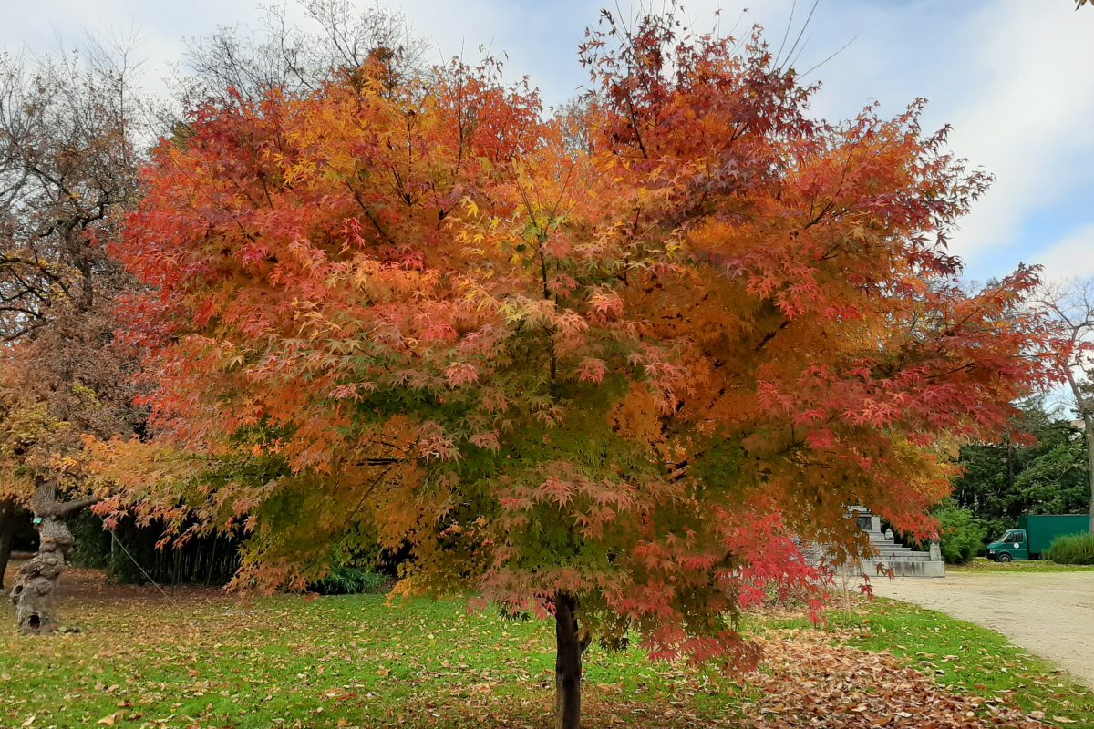 Herbst – die beste Zeit für einen walk&talk 